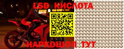 ПСИЛОЦИБИНОВЫЕ ГРИБЫ Краснознаменск